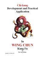 chi-kung - scott baker


no publisher no code 2000 pdf 108 pages 4mb

the internal or chi kung side